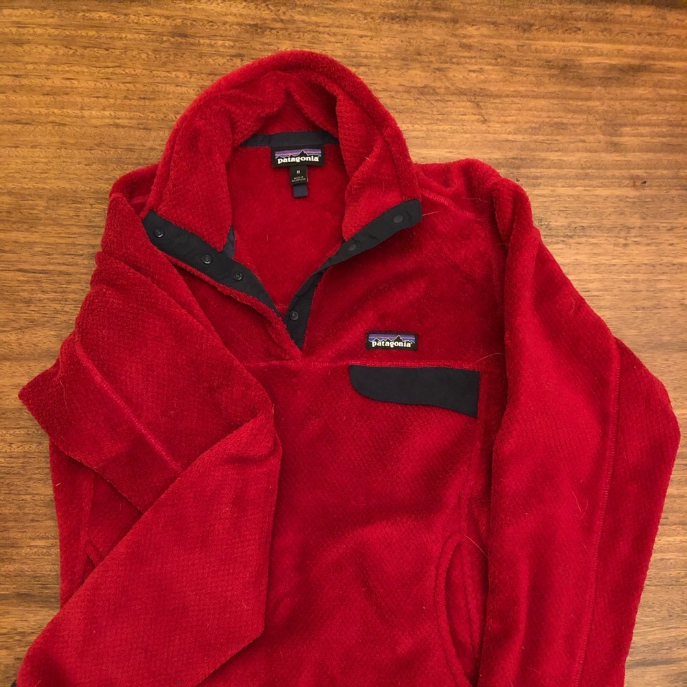 Patagonia Synchilla Fleece